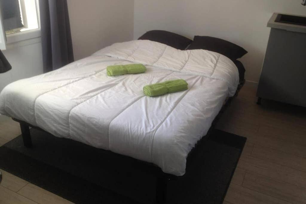 Appartement Loft Centre De Cannes