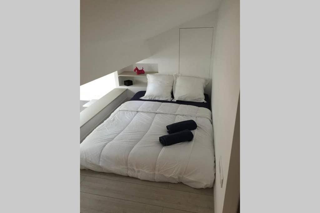 Appartement Loft Centre De *
